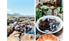 Coastal Forage with Veld & Sea
